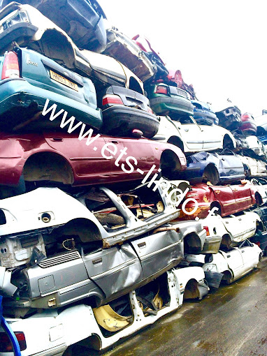 Aperçu des activités de la casse automobile LINDO PIECES AUTO située à DORDIVES (45680)